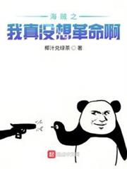 海賊之我真沒想革命啊 海賊之我真沒想革命啊