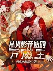 從火影開始的萬磁王 從火影開始的萬磁王