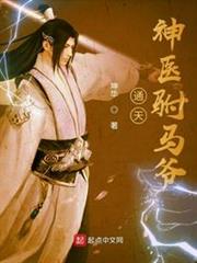 通天神醫駙馬爺