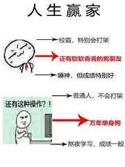 單身狗的春天