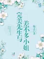 完美先生與差不多小姐 完美先生與差不多小姐