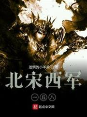 北宋西軍一丘八