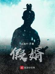 假婿 假婿