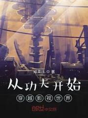 從功夫開始穿越影視世界 從功夫開始穿越影視世界