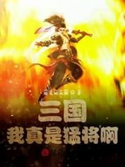 三國:我真是猛將啊 三國:我真是猛將啊