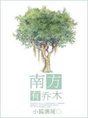 南方有喬木 南方有喬木