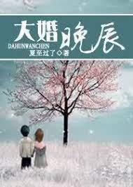 大婚晚辰 大婚晚辰
